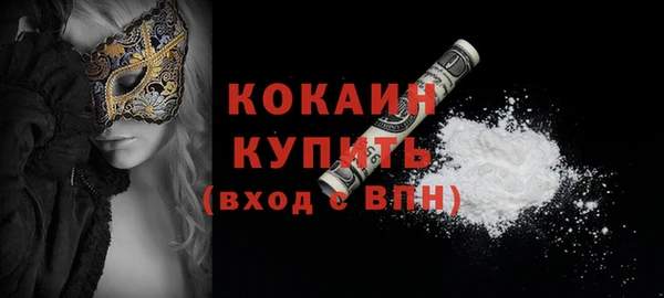 соль ск Абаза