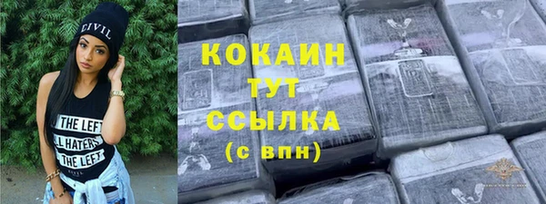 соль ск Абаза