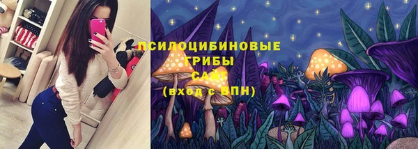 ПСИЛОЦИБИНОВЫЕ ГРИБЫ Абинск