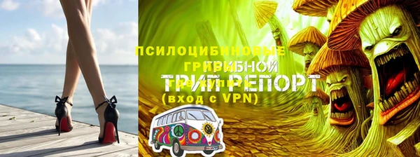 соль ск Абаза