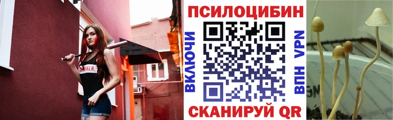 Галлюциногенные грибы ЛСД Грозный